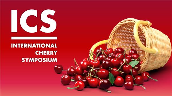 Il video della presentazione International Cherry Symposium